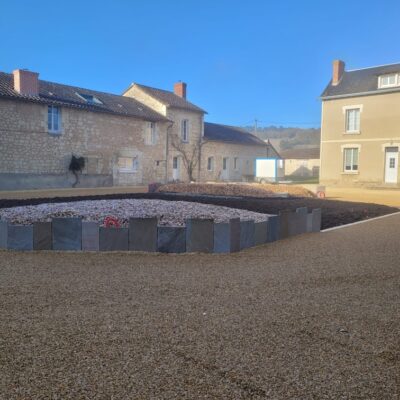 motion_photo_2833329762751934774_resized_20260109_063503972